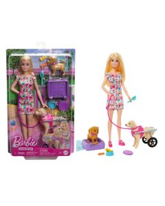 Barbie Fam Doll With Puppy In Wheelchair Set For Girls 3 Years Old AndUp