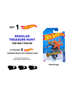 Buy 3 Random Basic Cars Hot Wheels and Get Regular T-hunt Mad Propz Toys for Boys 3 Years up
