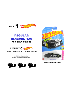 Buy 3 Random Basic Cars Hot Wheels and Get Regular T-hunt Muscle And Blown Toys for Boys 3 Years up