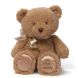 Gund My First Teddy Tan 10 Inches For Girls 3 years up